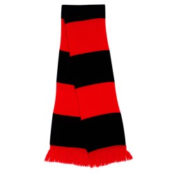 Team Scarf