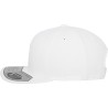 110 Fitted Snapback