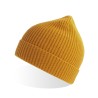 Andy Beanie