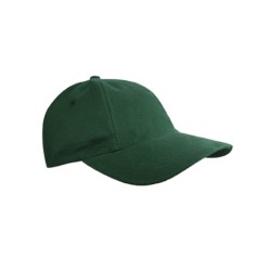 Brushed Promo Cap